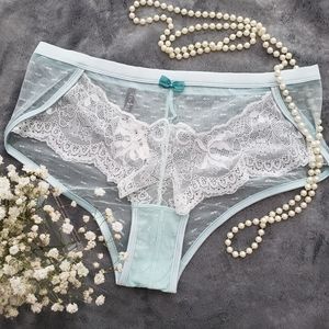 Lace mesh hipster plus